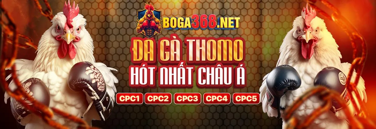 Hình ảnh banner Điều Khoản Dịch Vụ của 999win đăng nhập